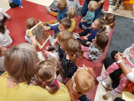 Otroci okušajo sladkost medu